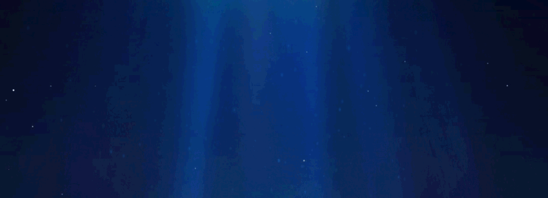 1.gif