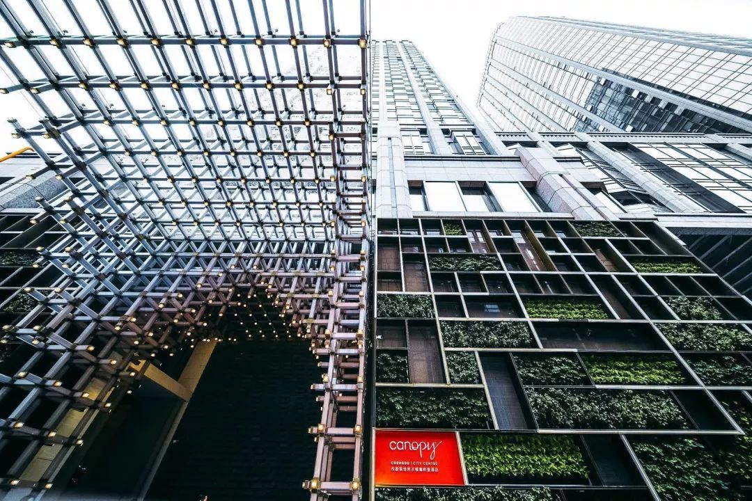 1581399444831847.jpg 12.jpg